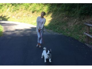 Dog sitter e passeggiate per cani a Pavia