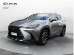 Lexus NX 350h Hybrid 4WD Business