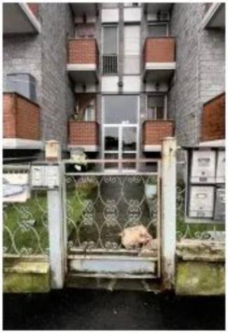 Immobile in asta di 85 m², box auto in vendita a Cerano - Foto 4