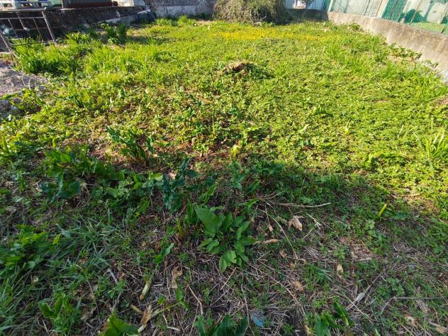 Terratetto in vendita a Lunata - Capannori 120 mq Rif: 1409804 - Foto 3