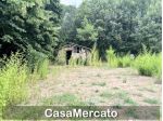 Rustico in vendita a Grottaferrata