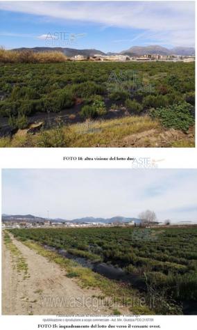IMMOBILI-ALTRA CATEGORIA-località Case Parrilli - Foto 3