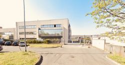 CONSULENTE COMMERCIALE