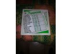 VINILE IN OTTIME CONDIZIONI,RARO,COMPLETO,33 GIRI:I CAMPIONISSIMI"13 SUCCESSI PE