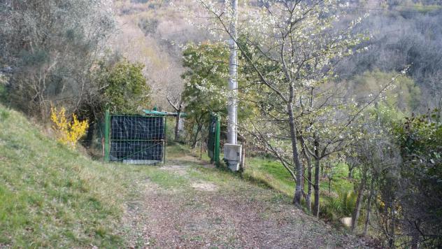 Alassio, terreno di circa 6.000 mq. con progetto per costruire una villa. - Foto 3
