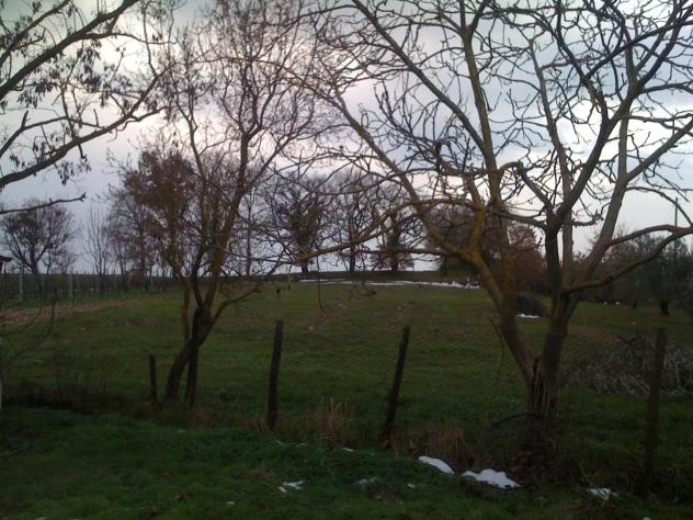 Rustico in vendita a Casole d'Elsa 138 mq Rif: 863756 - Foto 4