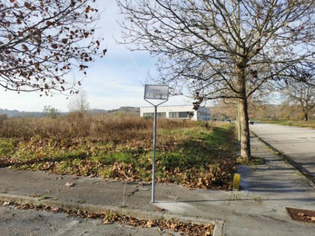 Immobile in asta di 7547 m² in vendita a Corinaldo - Foto 4