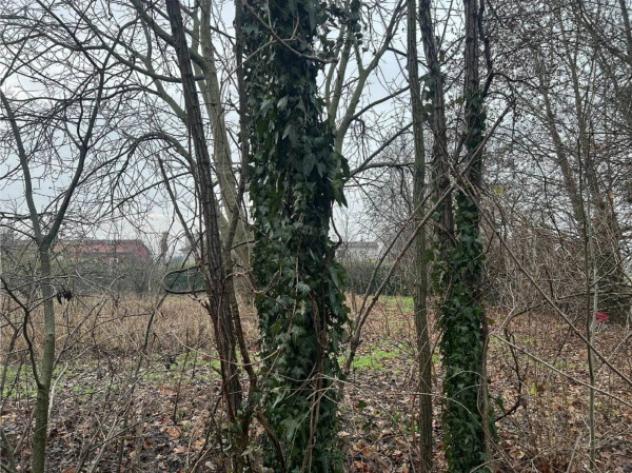 Immobile in asta di 3033 m² in vendita a Sanza - Foto 11
