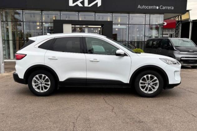 FORD Kuga 1.5 EcoBlue 120 CV 2WD Titanium Business rif. 23684826 - Foto 4