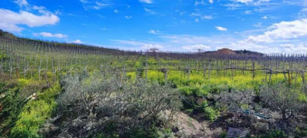 Immobile in asta di 76 m² in vendita a Naro - Foto 14