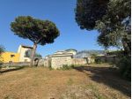 Stabile/Palazzo - Pollena Trocchia . Rif.: Cod. rif 3235486VCG