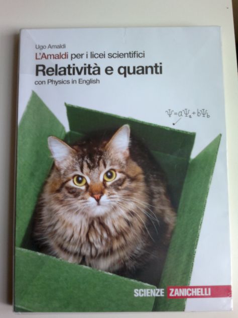 Relatività e quanti - con Physics in English - L'Amaldi per i Licei Scientifici