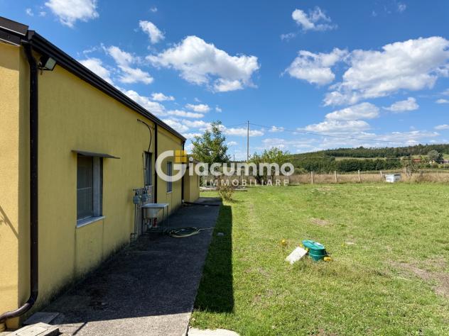 Villa a schiera in affitto a Avigliano - Foto 5