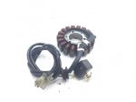 HONDA @ CHIOCCIOLA 150 STATORE GENERATORE CAMPO MAGNETICO 2000 2002 ZDCKF03A0YF