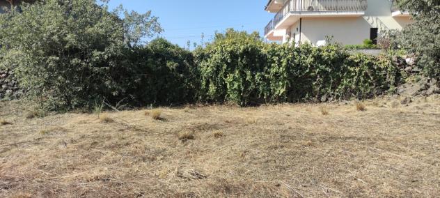 Agricolo in vendita a Misterbianco - Foto 6