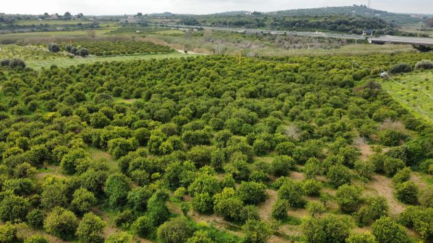 Terreno in vendita in Contrada Fiumara s.n.c., Centro, Noto - Foto 2