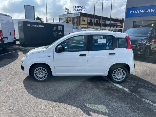 FIAT Pandina Pandina 1.0 firefly hybrid Icon s&s 65cv - Foto 5