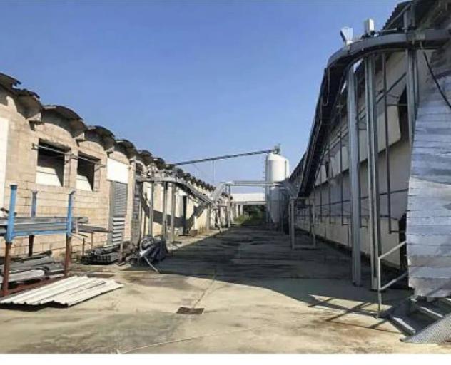 Immobile in asta di 540 m² in vendita a Cittadella - Foto 4
