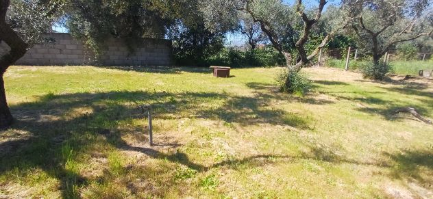 Bellissimo terreno - Foto 10