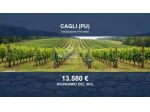 Immobile in asta di 25883 m² in vendita a Cagli
