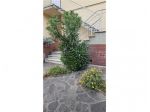 Appartamento in vendita a Capraia e Limite 150 mq  Rif: 1408941
