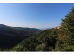 Appartamento in vendita a Fosdinovo 100 mq  Rif: 1043389