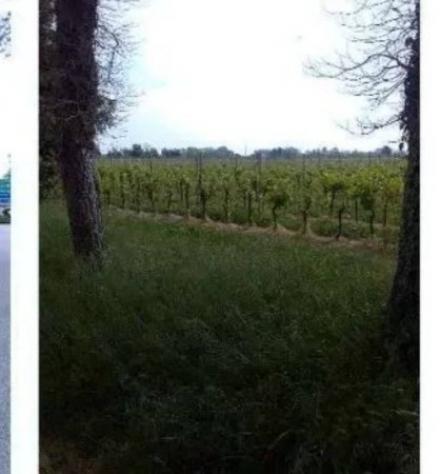 Immobile in asta di 50060 m² in vendita a Caneva - Foto 2