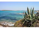 Agricolo in vendita a Portopalo di Capo Passero