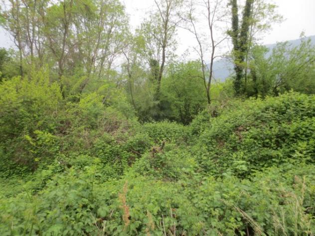 Vignone - ZONA VIGNONE VENDESI RUSTICO CON GIARDINO PRIVATO - Foto 2