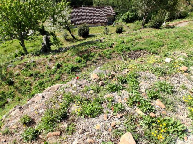 Rustico in vendita a Sant'Andrea di Compito - Capannori 350 mq Rif: 1407499 - Foto 5