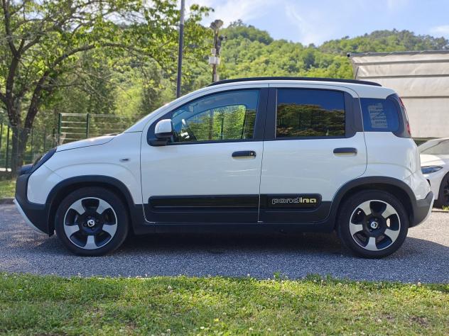 FIAT Panda Cross 1.0 FireFly S&S Hybrid - Foto 4