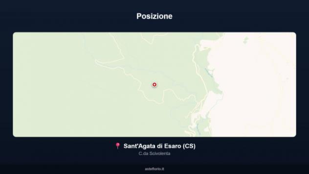 Immobile in asta di 140 m² in vendita a Sant'Agata di Esaro - Foto 18