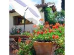 Agriturismo Il Bellini
