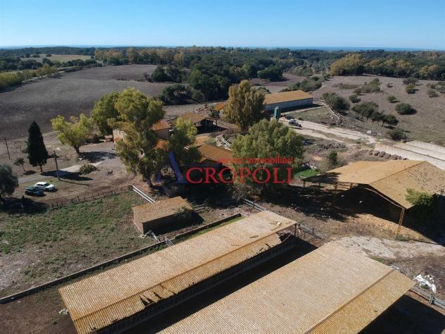 Rustico / Casale - Rif. 2576 - Foto 12