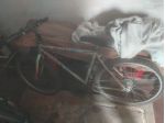 mountain bike ; bici bimbo