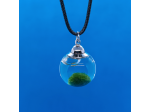 Collana con mini MARIMO Alga Palla viva Gioiello artigianale Pianta Giapponese