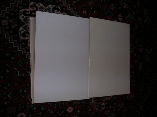 DIZIONARIO ENCICLOPEDICO UNIVERSALE - Foto 3