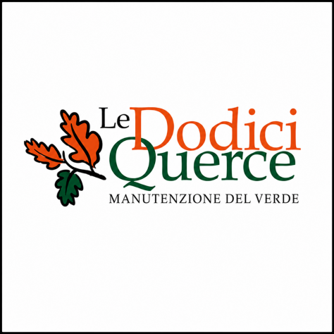 Operaio forestale / Addetto manutenzione del verde – motosega professionale – Me