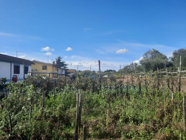 Agricolo in Via Tor Paluzzi - Foto 4