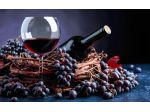 Cantina attrezzata colline Oltrepo' Pavese e Piacenza