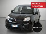 FIAT Panda Panda 1.0 firefly hybrid s&s 70cv