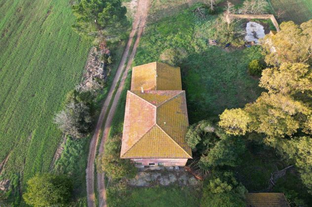 Magliano in Toscana, Podere Pantanella unione di passione e buon gusto - Foto 3