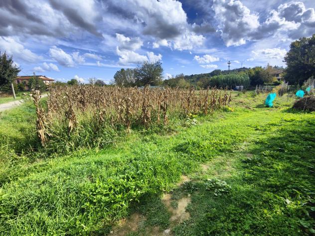 Agricolo in Località Gruccia - Foto 8