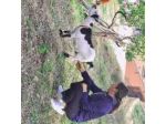 U’ Malazeno Azienda Agricola