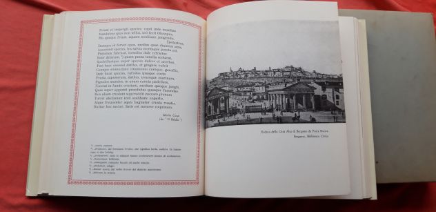Il ghiottone Lombardo, C. Steiner, libro vintage - Foto 5