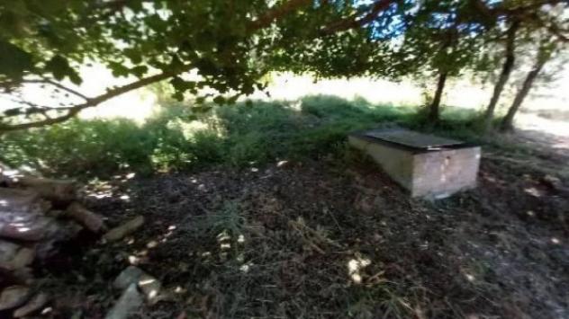 Immobile in asta di 175 m² in vendita a Montalcino - Foto 6