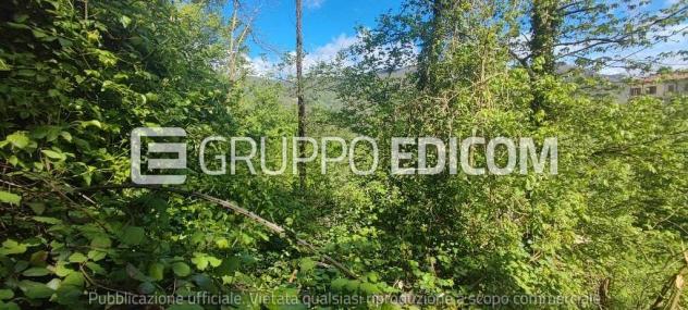 Terreno in vendita a Mulazzo - Rif. 3560036 - Foto 5