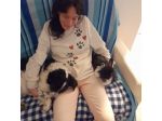 Dog Sitter/gatt Sitter/conigli Sitter