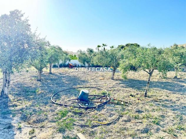 V2479 - In vendita a Marsala terreno in periferia - Foto 3