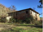 COLONICA di 20 vani e di 654 mq (CASTELFIORENTINO) rif. C 74
